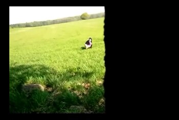 BEOBACHTET – und was daraus geworden ist