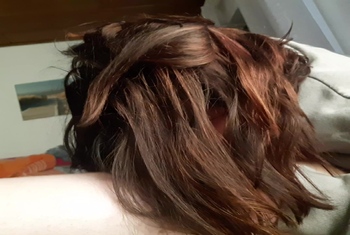 Blowjob auf der Coach