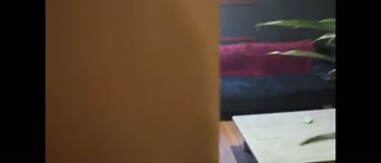 Full Video Als Servicekraft nehme ich meinen Job ernst