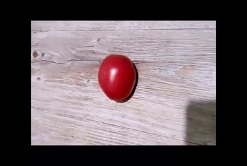 Thema heute Crushing einer Bio Tomate