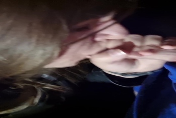 Nächtlicher Blowjob im Wald