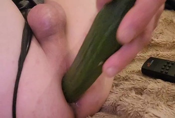 Die bio Gurke